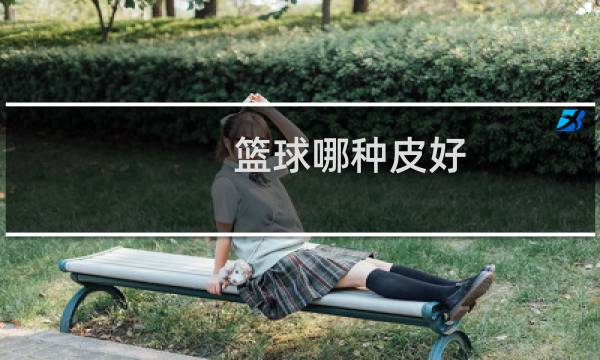 篮球哪种皮好图片