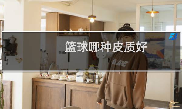 篮球哪种皮质好图片
