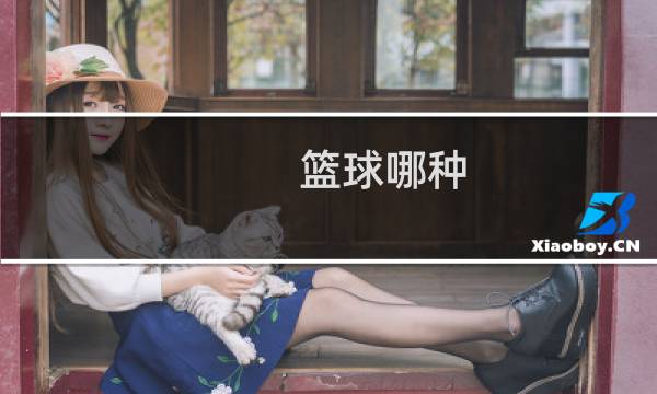 篮球哪种图片