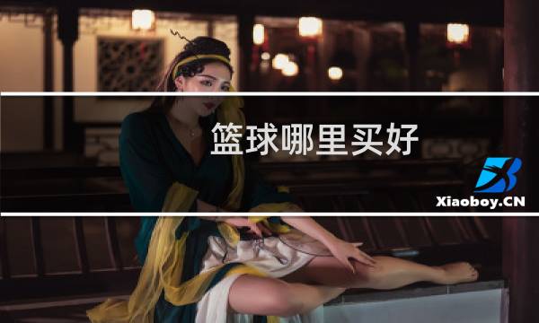 篮球哪里买好图片