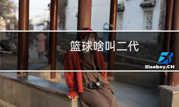 篮球啥叫二代图片