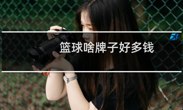 篮球啥牌子好多钱图片