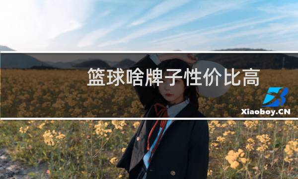 篮球啥牌子性价比高图片