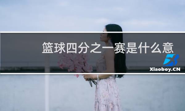 篮球四分之一赛是什么意思图片