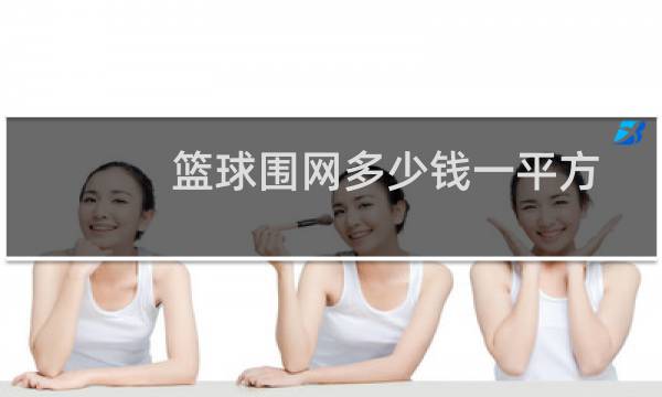 篮球围网多少钱一平方图片