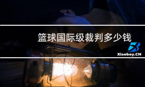 篮球国际级裁判多少钱图片