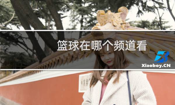 篮球在哪个频道看图片