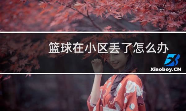 篮球在小区丢了怎么办图片