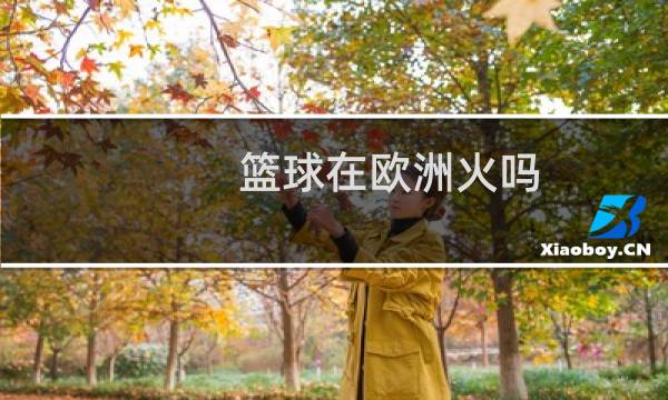 篮球在欧洲火吗图片