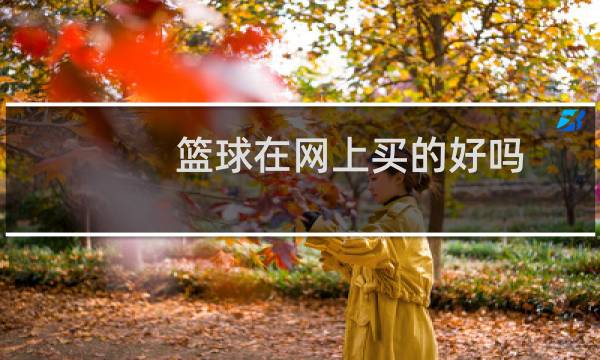 篮球在网上买的好吗图片