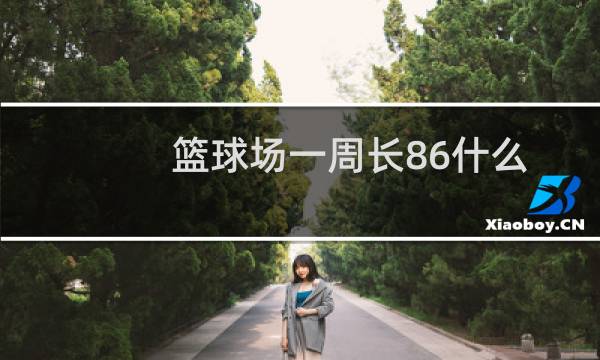 篮球场一周长86什么图片