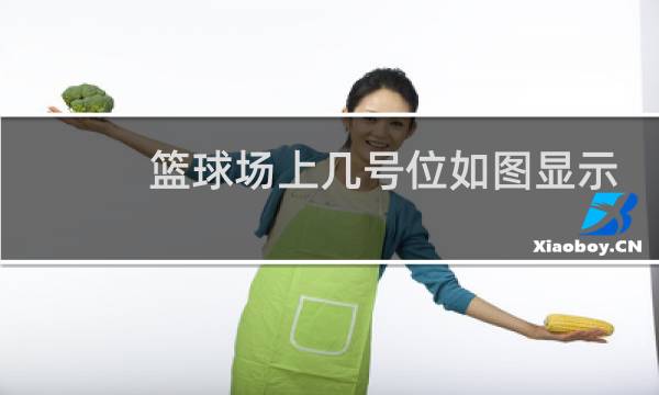 篮球场上几号位如图显示图片