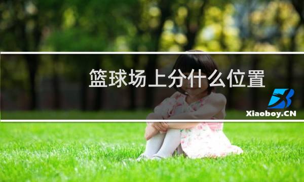篮球场上分什么位置图片