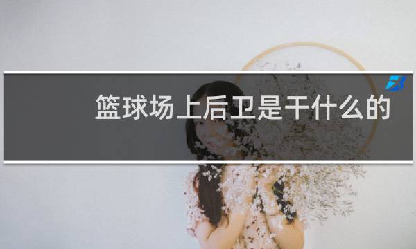 篮球场上后卫是干什么的图片
