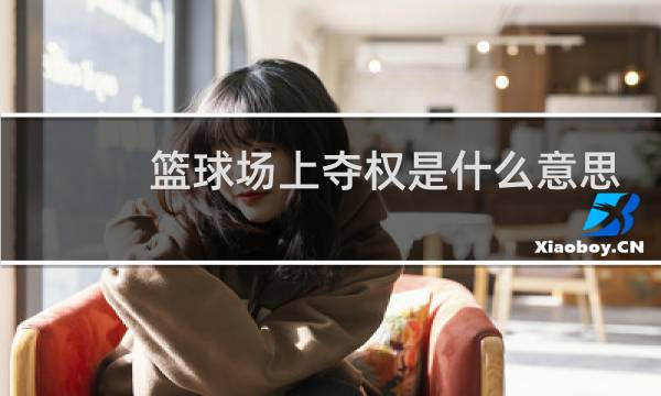 篮球场上夺权是什么意思图片
