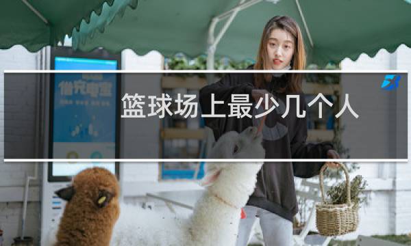 篮球场上最少几个人图片