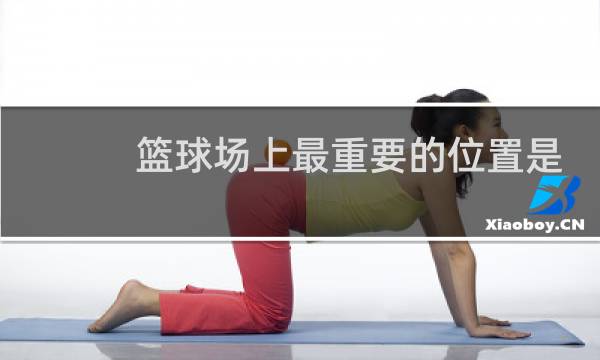 篮球场上最重要的位置是什么图片