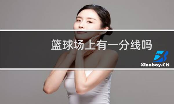 篮球场上有一分线吗图片