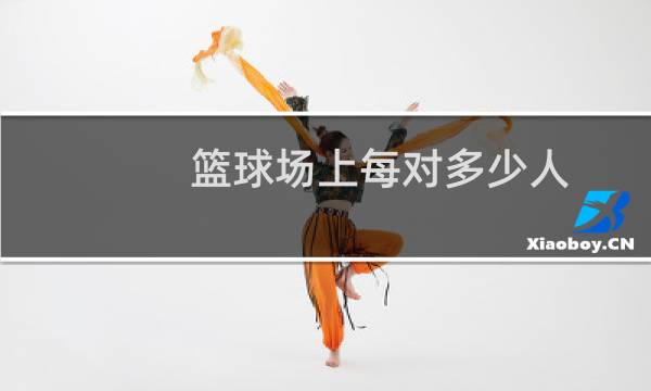 篮球场上每对多少人图片