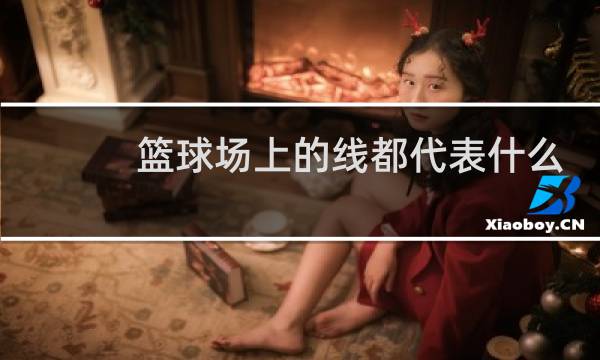 篮球场上的线都代表什么图片