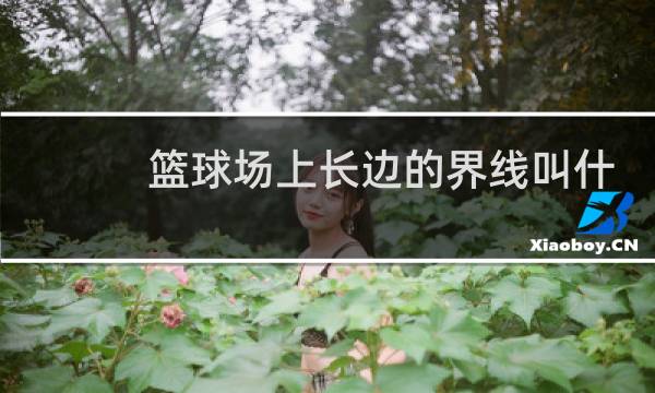 篮球场上长边的界线叫什么图片