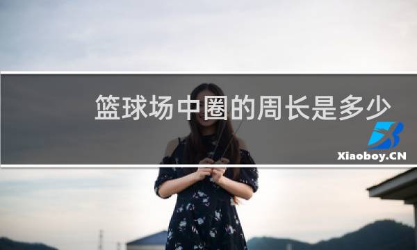 篮球场中圈的周长是多少图片
