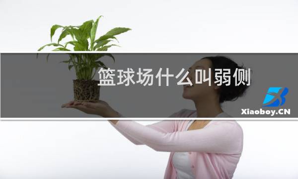 篮球场什么叫弱侧图片