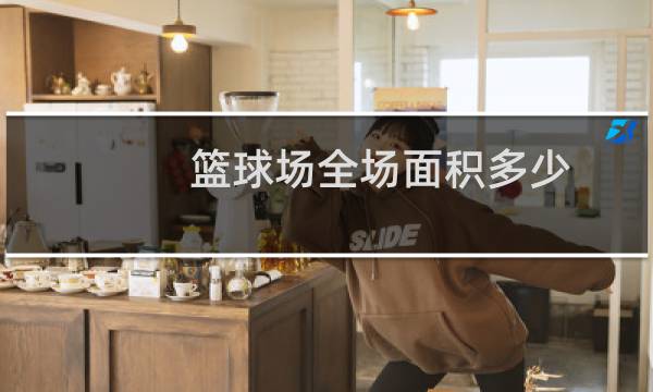 篮球场全场面积多少图片