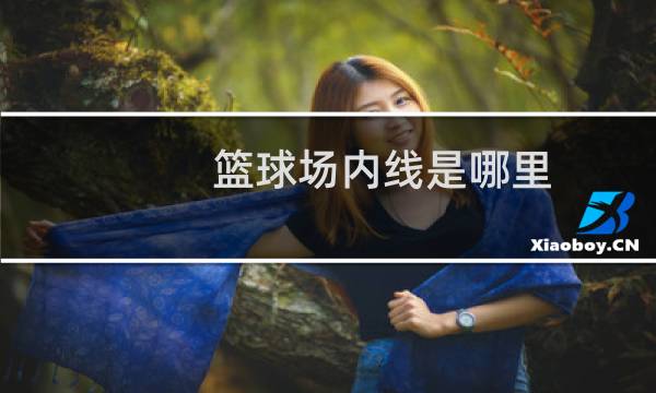 篮球场内线是哪里图片