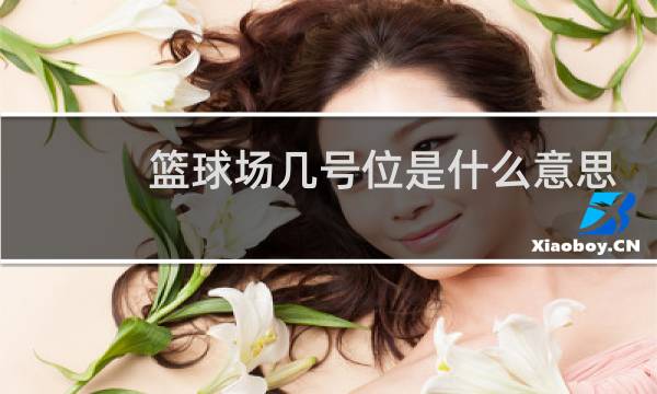 篮球场几号位是什么意思图片