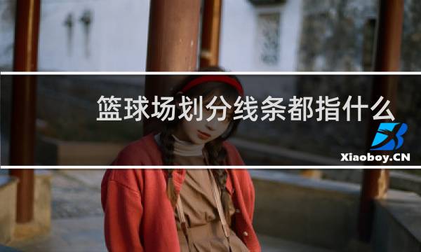 篮球场划分线条都指什么图片