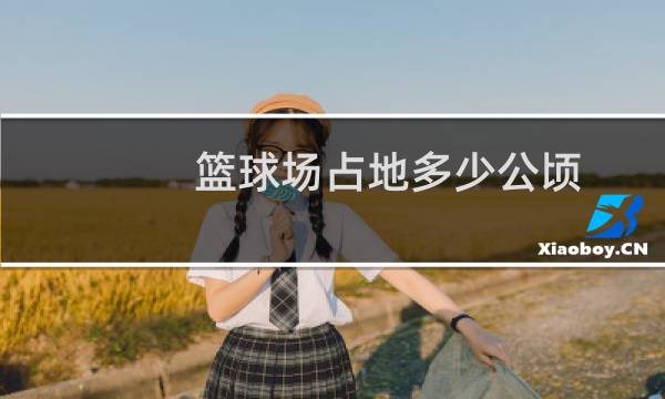篮球场占地多少公顷图片