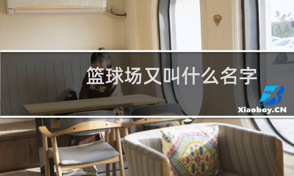 篮球场又叫什么名字图片
