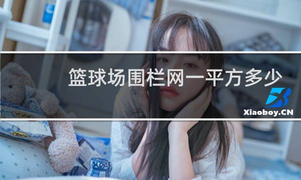 篮球场围栏网一平方多少钱图片