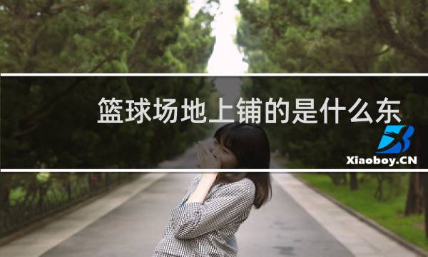 篮球场地上铺的是什么东西图片