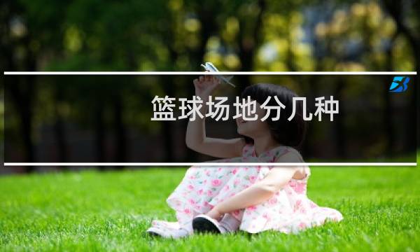 篮球场地分几种图片