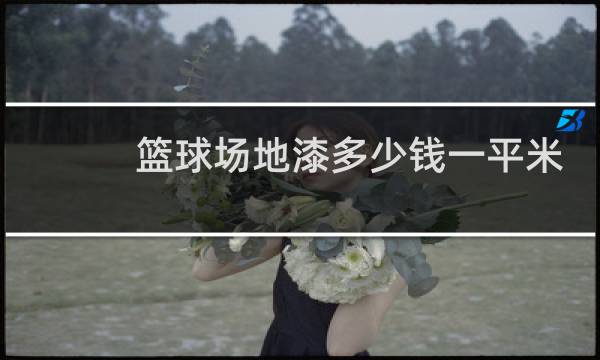 篮球场地漆多少钱一平米图片
