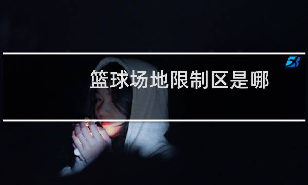篮球场地限制区是哪图片