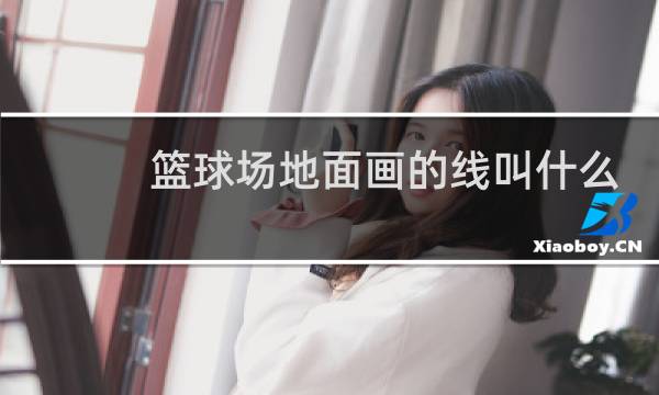 篮球场地面画的线叫什么图片