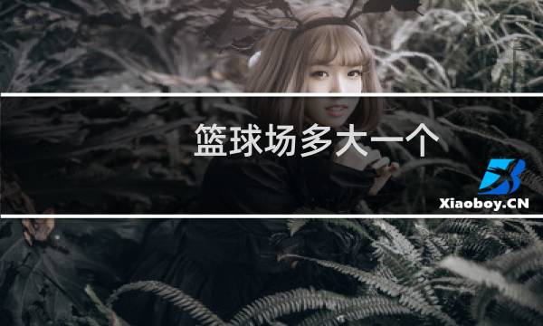 篮球场多大一个图片