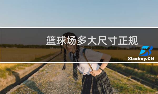 篮球场多大尺寸正规图片