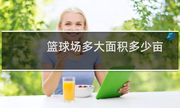 篮球场多大面积多少亩图片