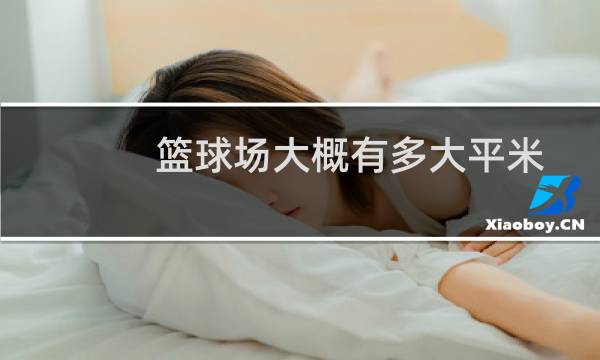 篮球场大概有多大平米图片