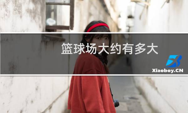 篮球场大约有多大图片