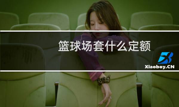 篮球场套什么定额图片