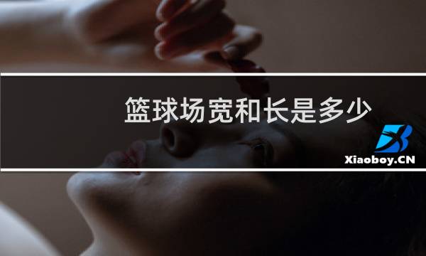 篮球场宽和长是多少图片