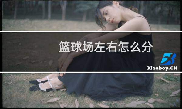 篮球场左右怎么分图片