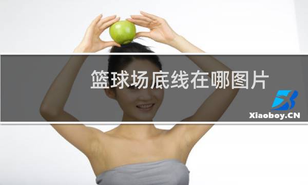篮球场底线在哪图片图片