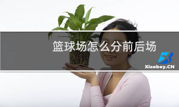 篮球场怎么分前后场图片