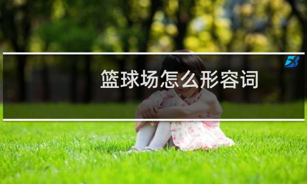 篮球场怎么形容词图片